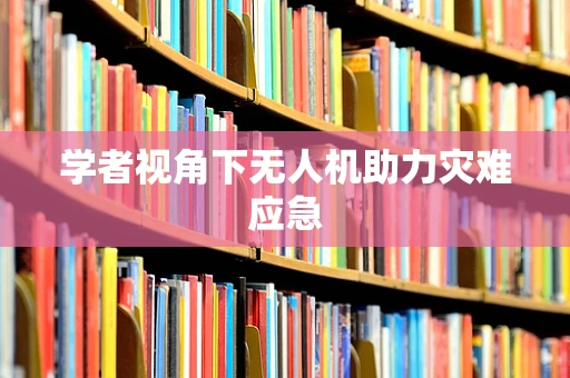学者视角下无人机助力灾难应急