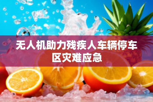 无人机助力残疾人车辆停车区灾难应急