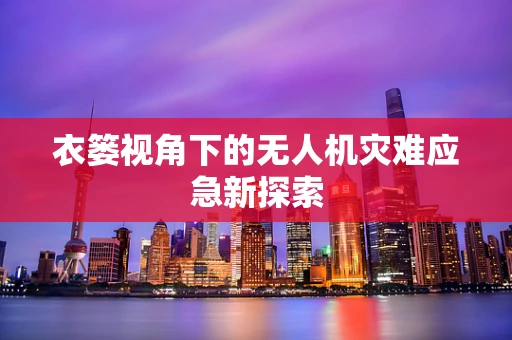 衣篓视角下的无人机灾难应急新探索