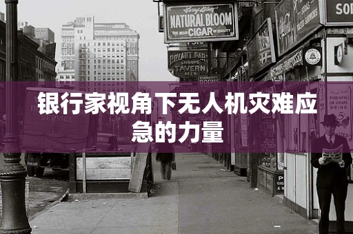 银行家视角下无人机灾难应急的力量