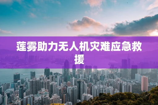 莲雾助力无人机灾难应急救援