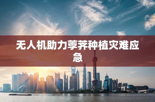 无人机助力荸荠种植灾难应急
