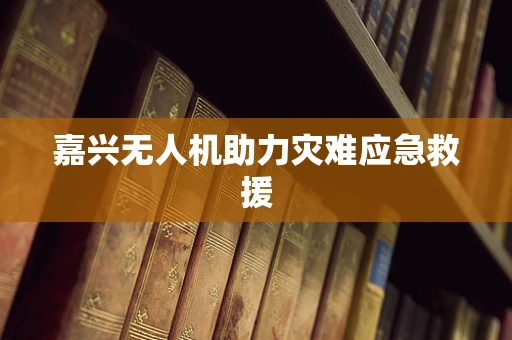 嘉兴无人机助力灾难应急救援