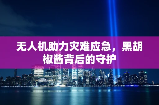 无人机助力灾难应急，黑胡椒酱背后的守护