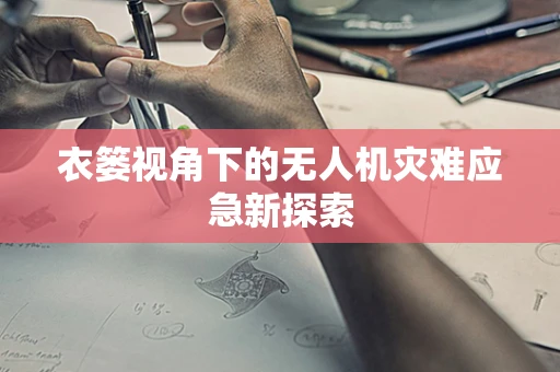 衣篓视角下的无人机灾难应急新探索