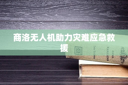 商洛无人机助力灾难应急救援