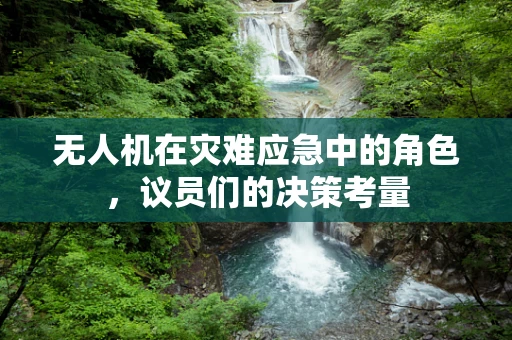 无人机在灾难应急中的角色，议员们的决策考量