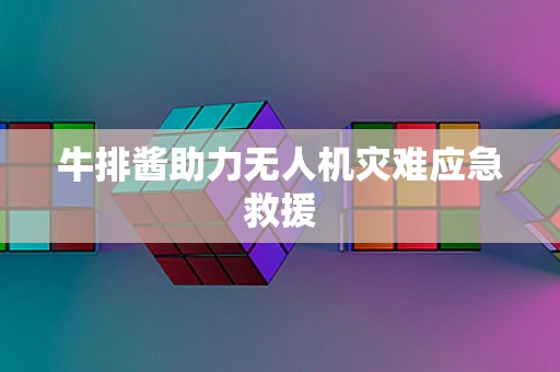 牛排酱助力无人机灾难应急救援