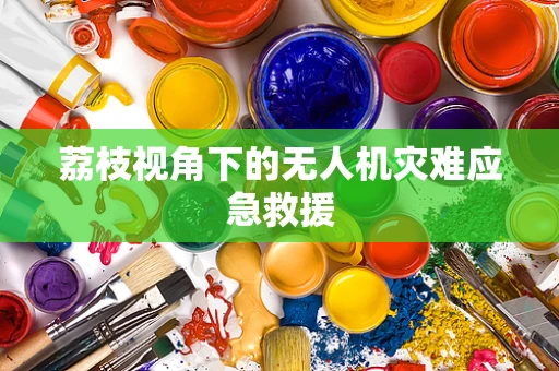 荔枝视角下的无人机灾难应急救援