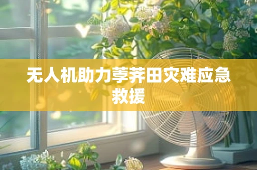 无人机助力荸荠田灾难应急救援