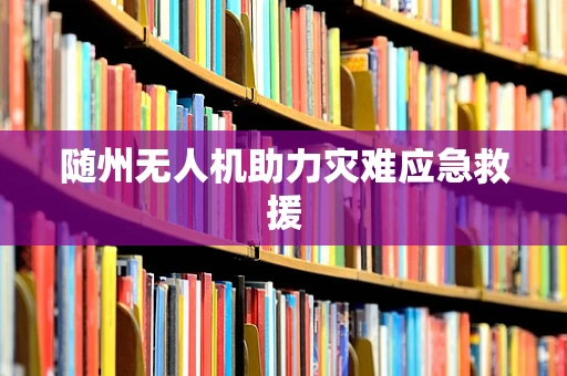 随州无人机助力灾难应急救援