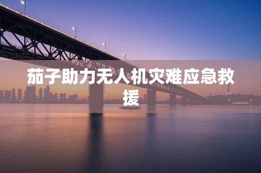 茄子助力无人机灾难应急救援