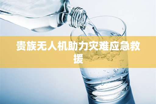 贵族无人机助力灾难应急救援