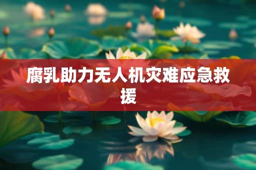 腐乳助力无人机灾难应急救援