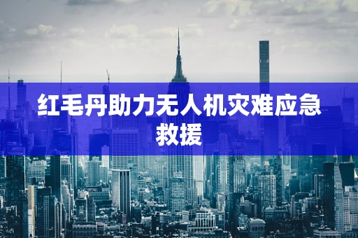 红毛丹助力无人机灾难应急救援