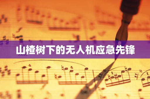 山楂树下的无人机应急先锋