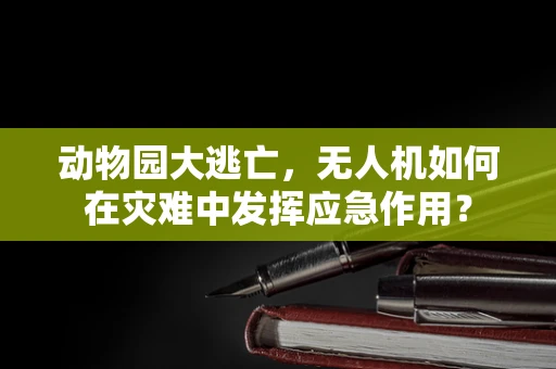 动物园大逃亡，无人机如何在灾难中发挥应急作用？