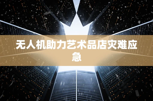 无人机助力艺术品店灾难应急