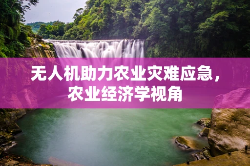 无人机助力农业灾难应急，农业经济学视角