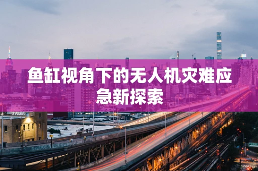 鱼缸视角下的无人机灾难应急新探索