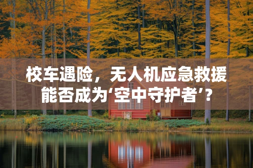校车遇险，无人机应急救援能否成为‘空中守护者’？