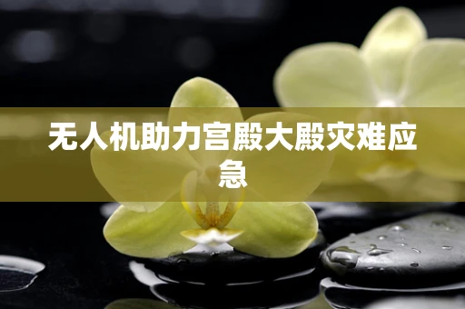 无人机助力宫殿大殿灾难应急