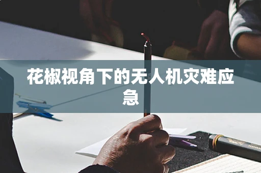花椒视角下的无人机灾难应急