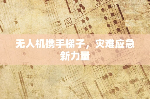 无人机携手梯子，灾难应急新力量