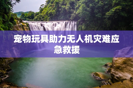 宠物玩具助力无人机灾难应急救援