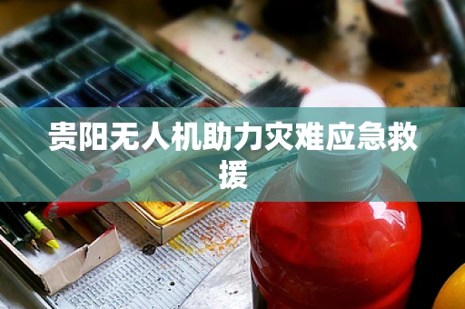 贵阳无人机助力灾难应急救援