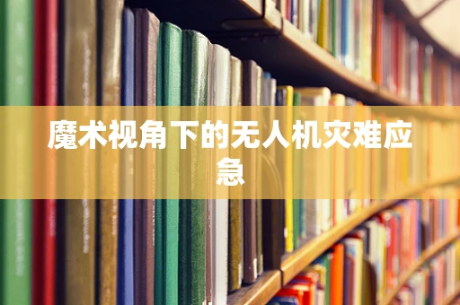 魔术视角下的无人机灾难应急