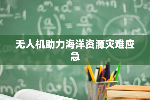 无人机助力海洋资源灾难应急