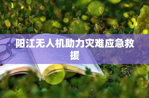 阳江无人机助力灾难应急救援