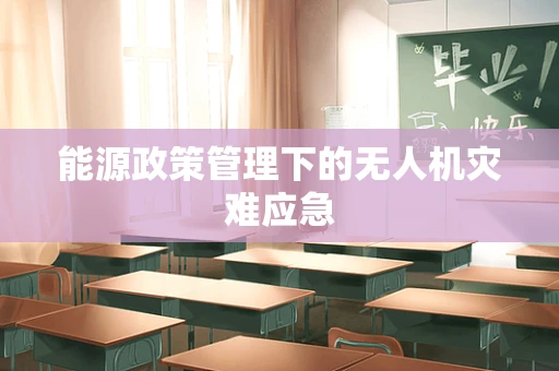 能源政策管理下的无人机灾难应急