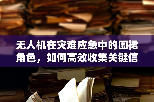 无人机在灾难应急中的围裙角色，如何高效收集关键信息？
