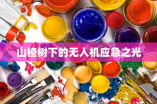 山楂树下的无人机应急之光