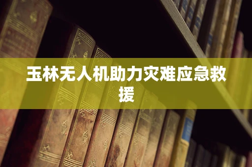 玉林无人机助力灾难应急救援